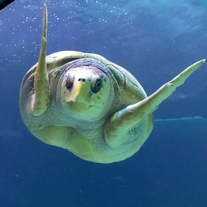 Meet your Posher, Angie